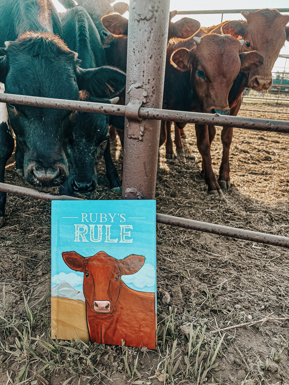 Ruby’s Rule Paperback Book