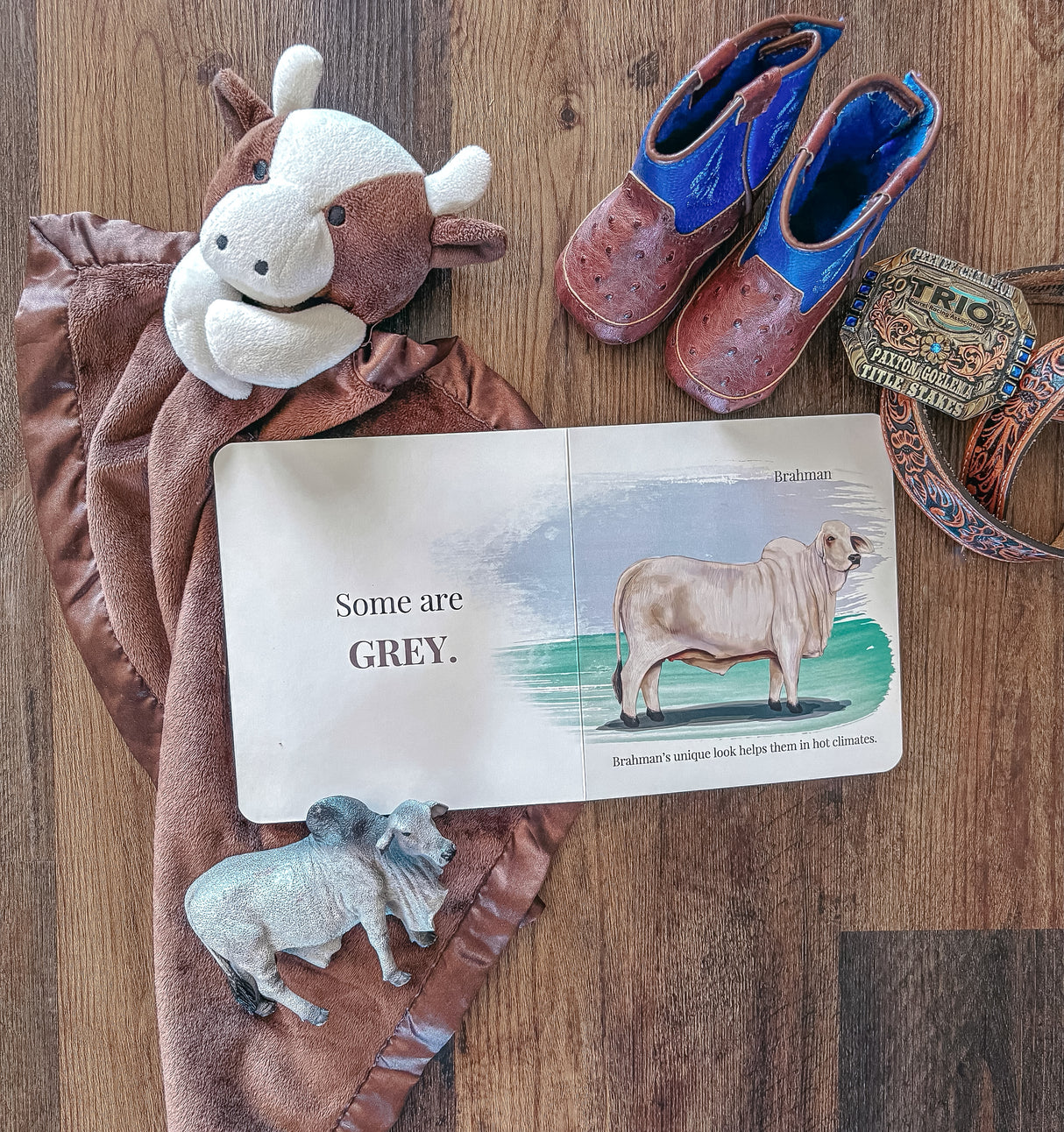 Baby’s First Book of Cows & Colors