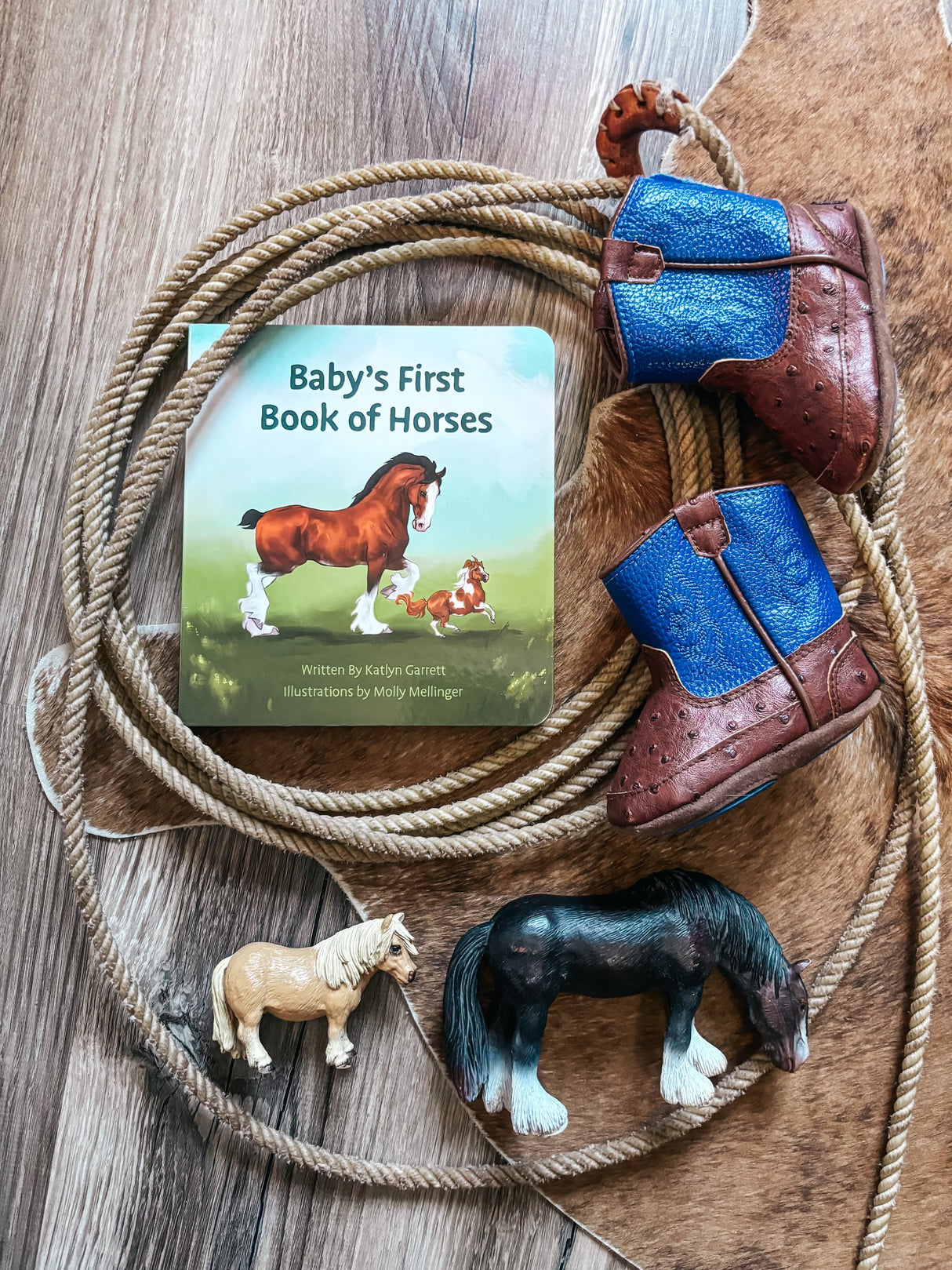 Baby’s First Book of Horses Board Book