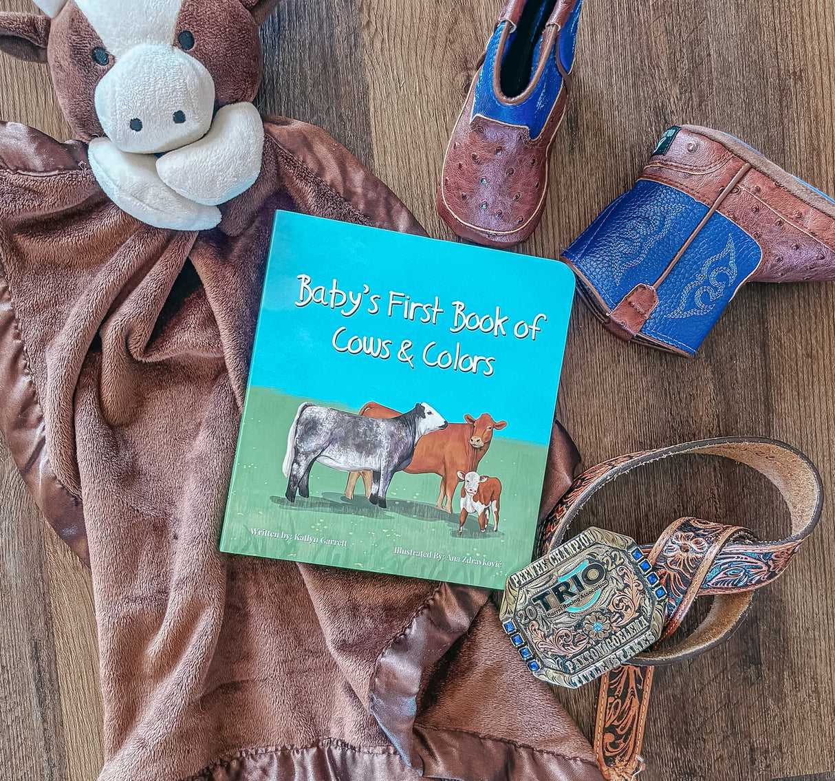 Baby’s First Book of Cows & Colors