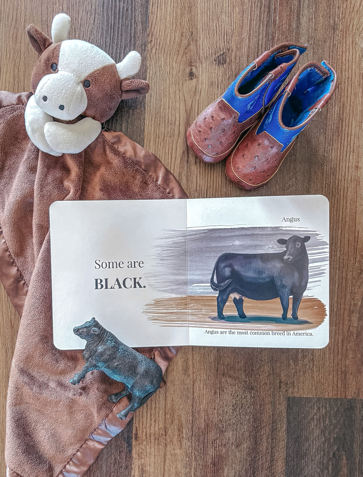 Baby’s First Book of Cows & Colors