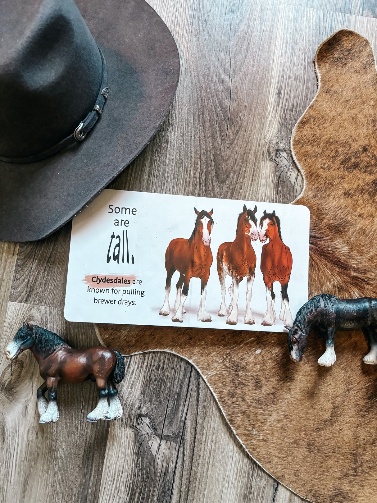 Baby’s First Book of Horses Board Book