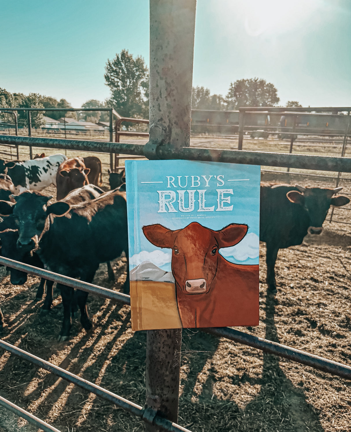 Ruby’s Rule Paperback Book