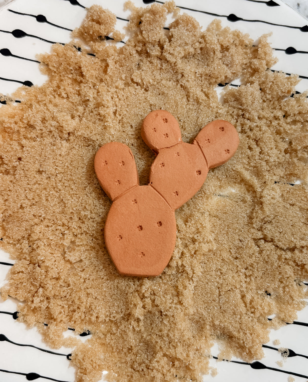 Western Brown Sugar Savers