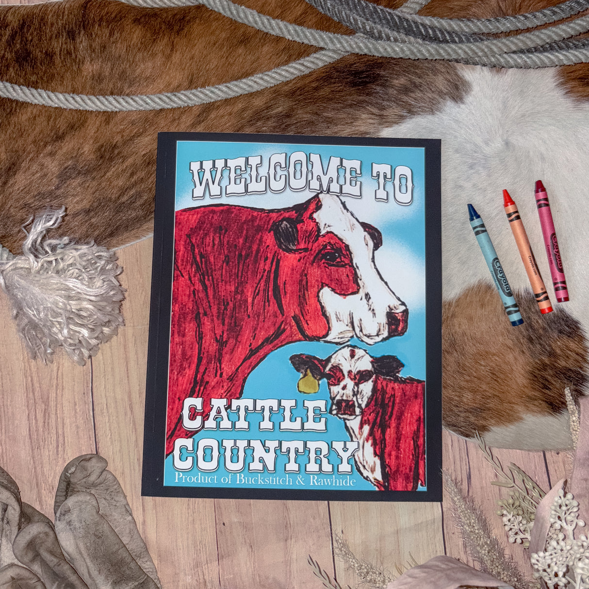 Cattle Country Coloring Book