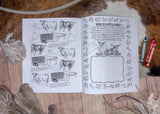 Cattle Country Coloring Book