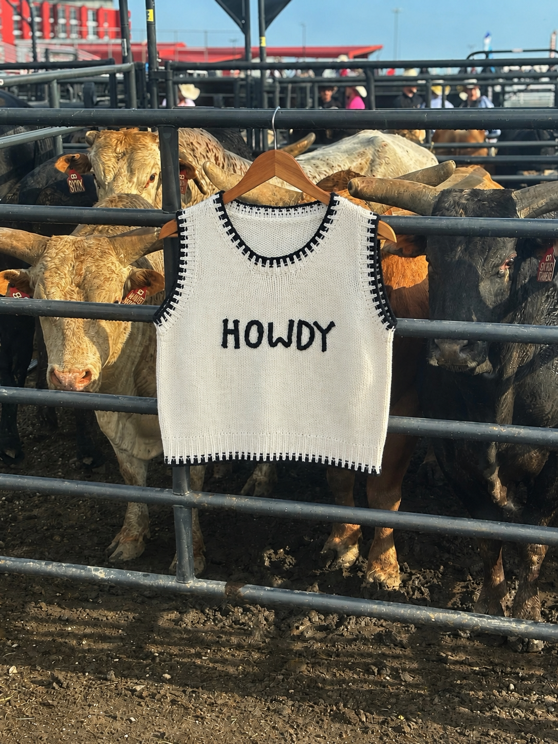 Howdy Sweater Vest