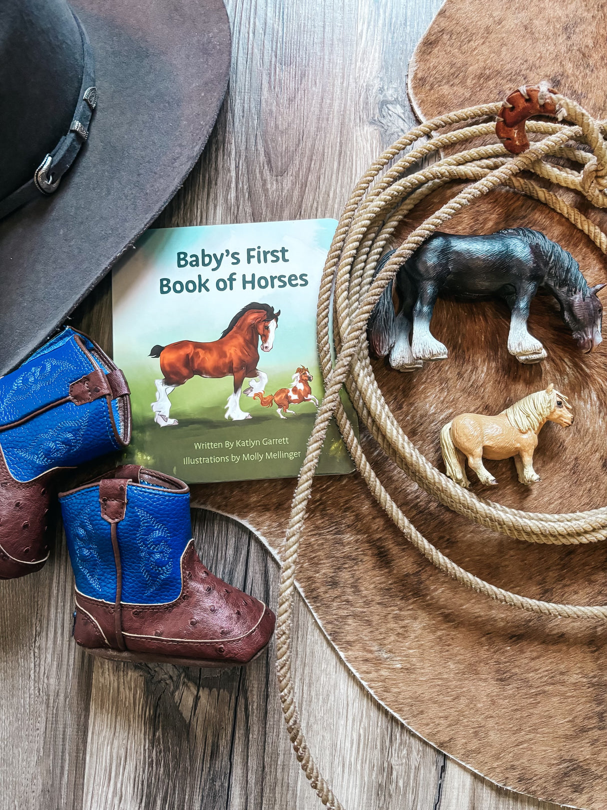 Baby’s First Book of Horses Board Book