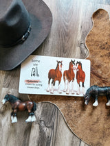 Baby’s First Book of Horses Board Book