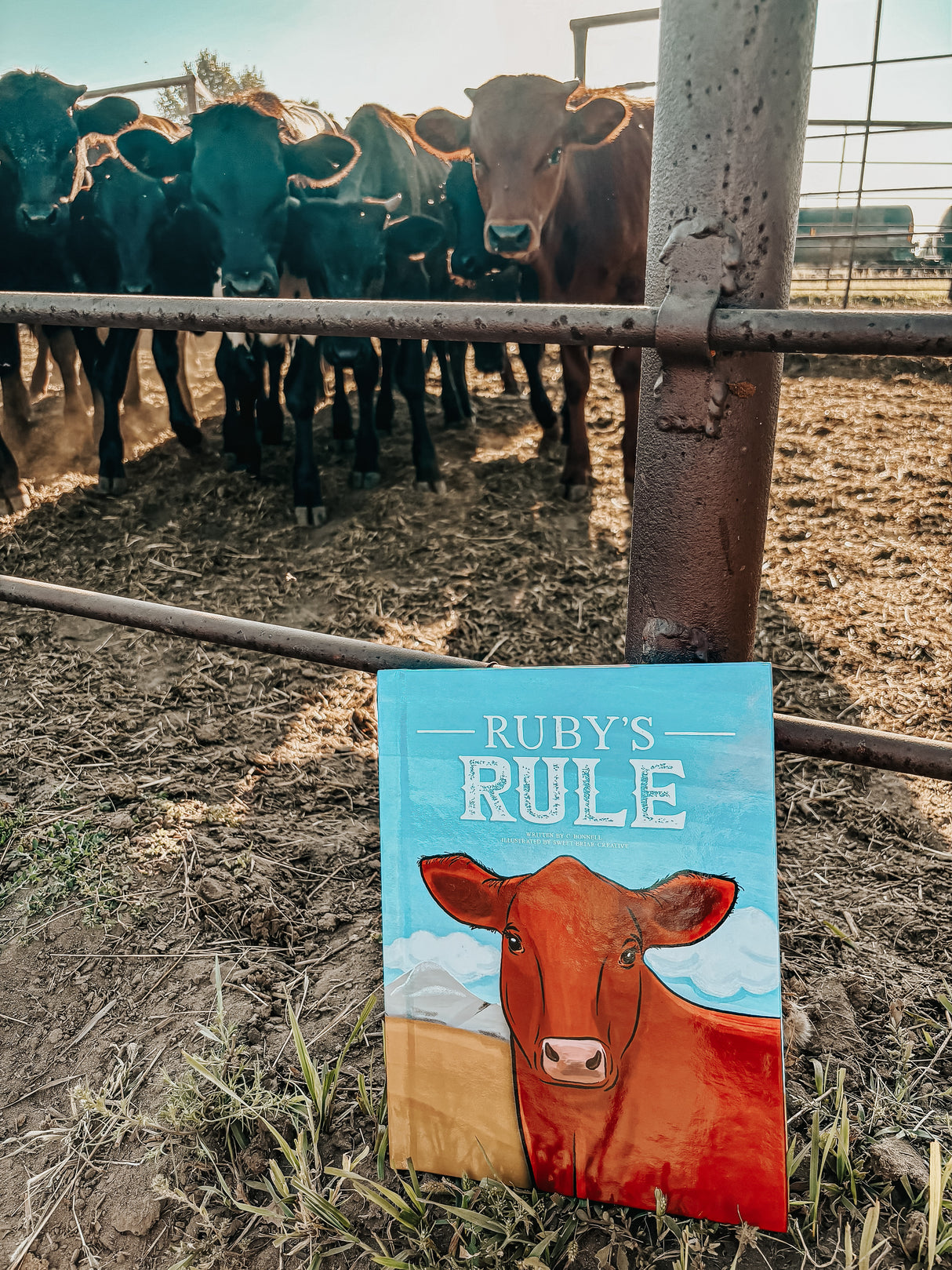 Ruby’s Rule Paperback Book - PREORDER